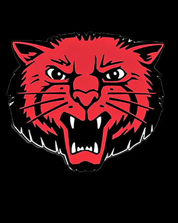 001-Bearcat
