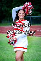 BHS CHEER BANNERS